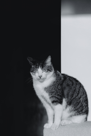 dbhy9j7c2